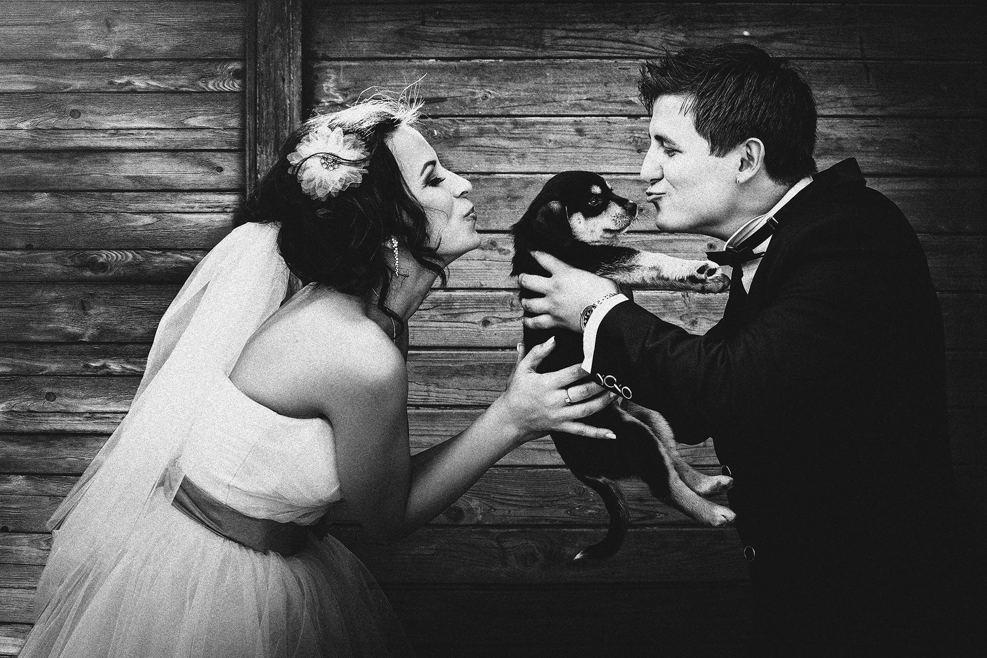 Mirii și puiul de câine – fotograf nuntă Transilvania Mirii pupă un pui de câine adorabil – moment amuzant la nunta din Transilvania