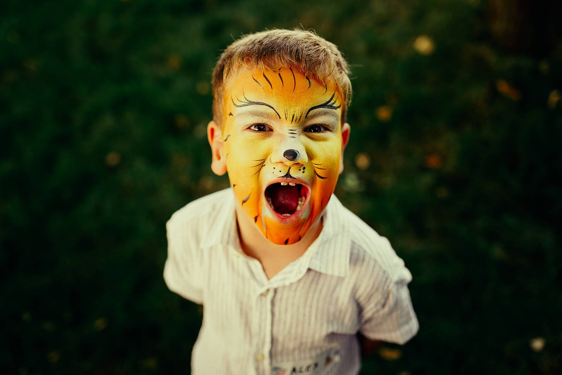 Băiețel pictat ca leu – fotograf nuntă Transilvania Băiețel cu fața pictată ca un leu, surprins într-un moment amuzant la eveniment