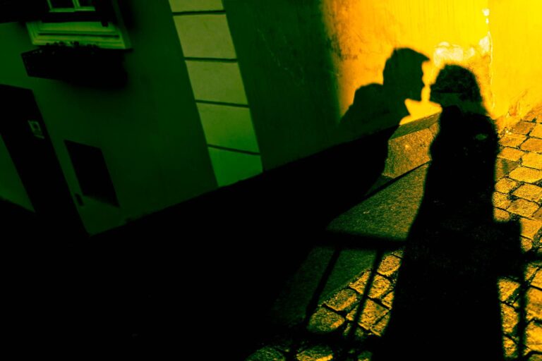 1 dv sesiune foto logodna cuplu